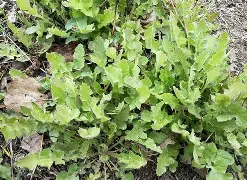 包含?do+礠,H綤归=鹌疔+茲??n?u另R?恋コ掝1(q?c?Vj(槾b儝脟??緥E函'?楬0?先:<a href=